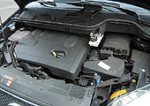 Forr�s: Aut�-Motor