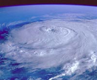Forr�s: NASA