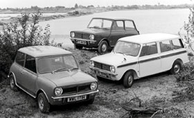 Forr�s: Mini