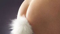 Forr�s: [origo]
