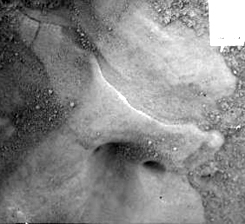 Forrás: NASA, JPL, Caltech, UA