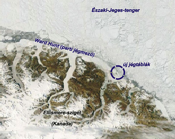 Forr�s: NASA