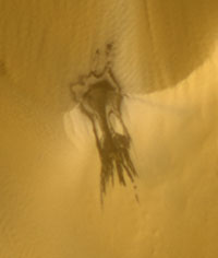 Forr�s: NASA, JPL, Colbud