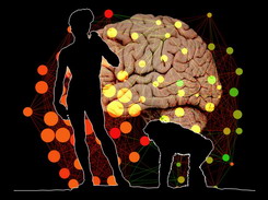 PNAS PNAS