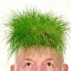 Forrás: iStockphoto Forrás: iStockphoto