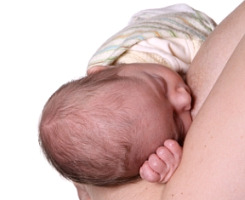 Forr�s: iStockPhoto