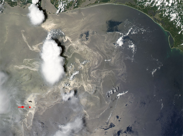 Forr�s: NASA