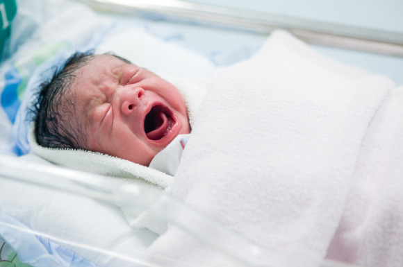 Forr�s: iStockphoto