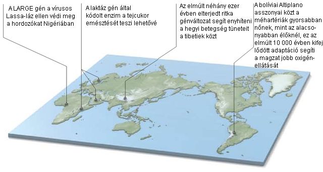 Scientific American Scientific American