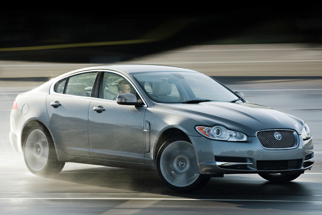 Forr�s: Jaguar