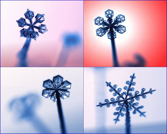 Forrás: snowcrystals.com Forrás: snowcrystals.com