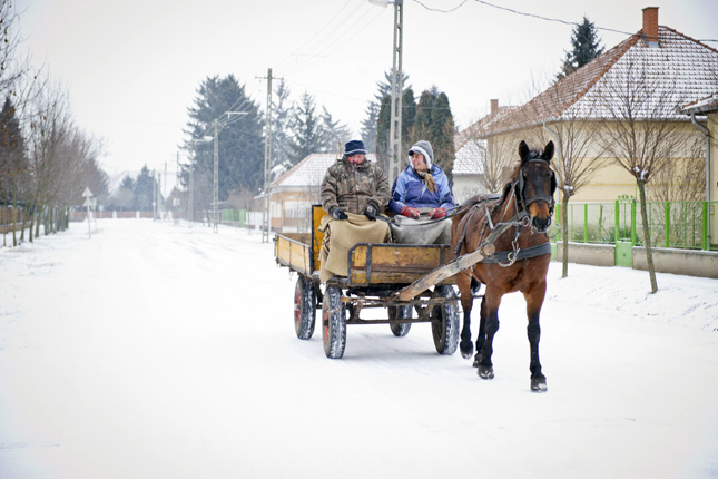 Forr�s: MTI/Rosta Tibor