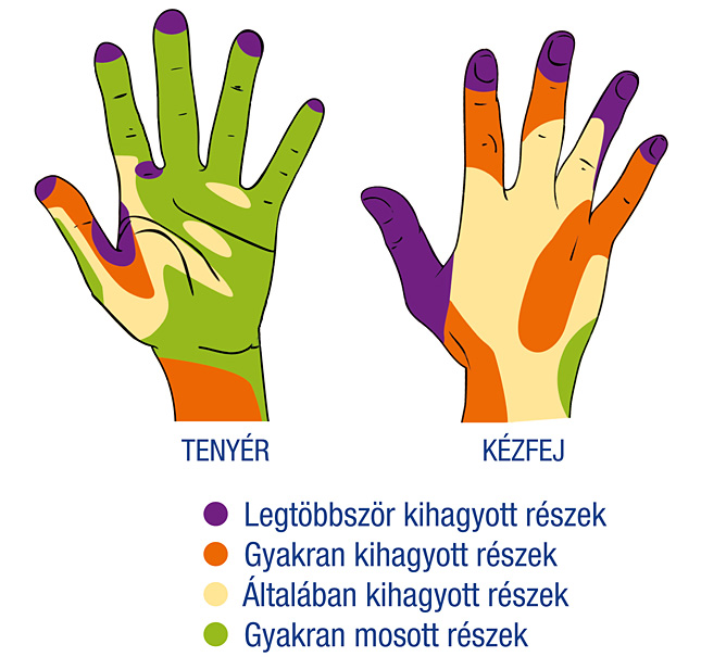 Forrás: Well PR Ügynökség Forrás: Well PR Ügynökség