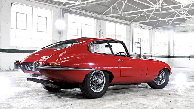 Forr�s: Jaguar