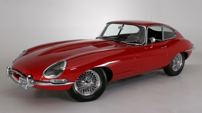 Forr�s: Jaguar