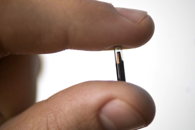 Forrás: MTI/Szigetváry Zsolt